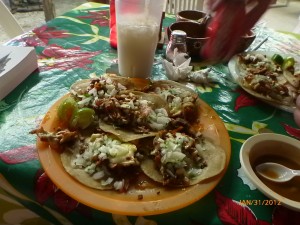 Five of our ten tacos from La Jarocha.