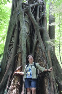 I can't get over these huge amazing trees-they're everywhere.