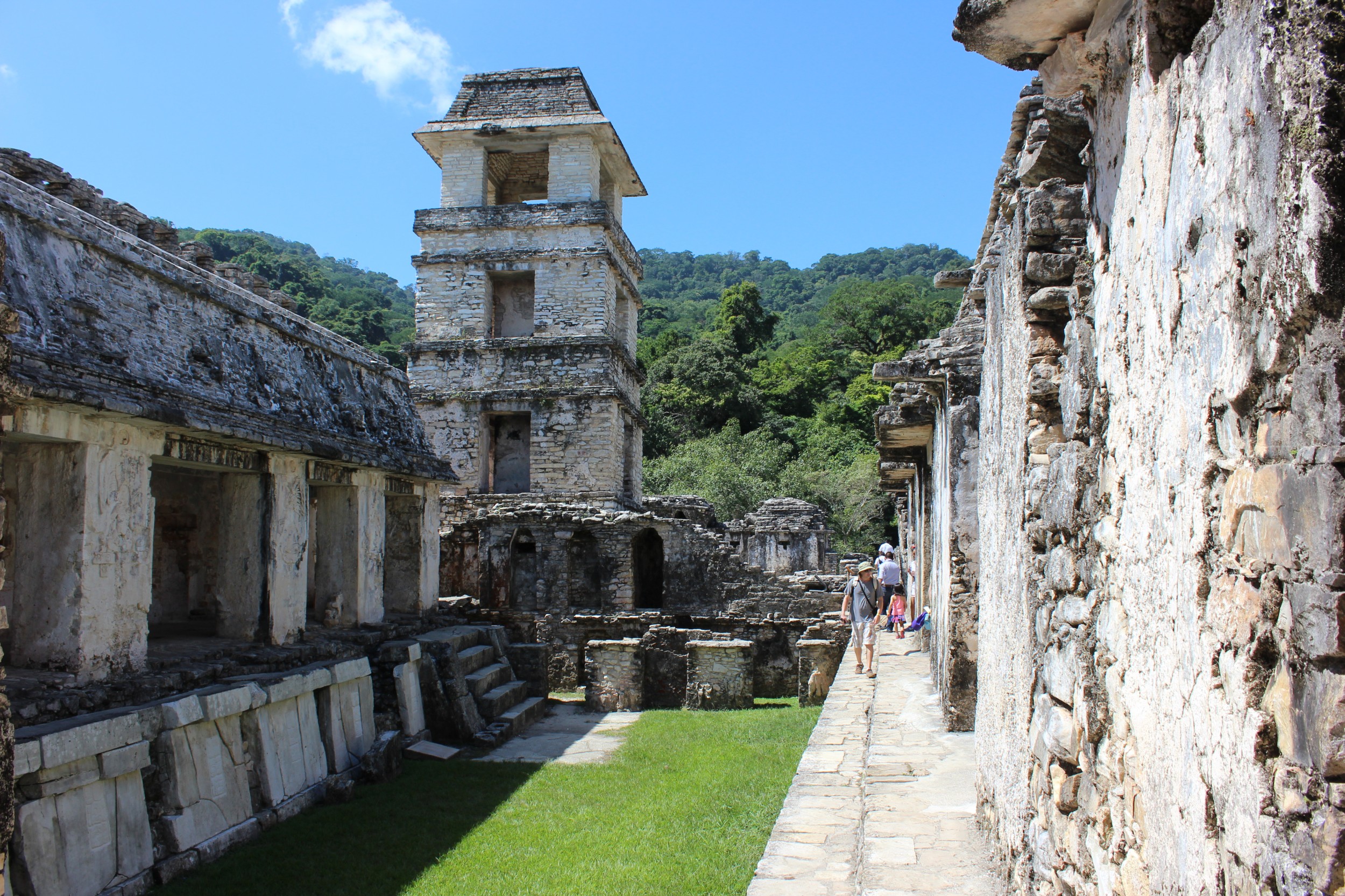 Running around, in and through the ruins of Palenque. 