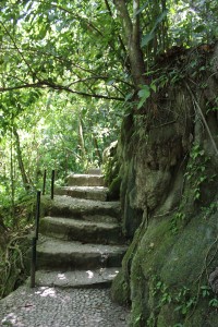 The trail to the exit-somehow it reminded me of Hobbiton?