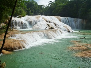 Agua Azul: Blue Water