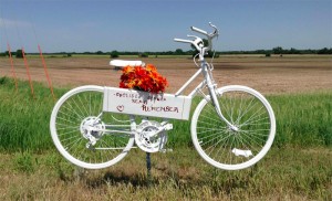 A memorial by the road where a cyclist was hit and killed in June of 2014. (Image from gearjunkie.com)