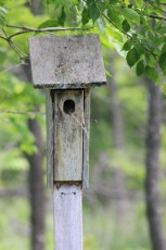 Bird house