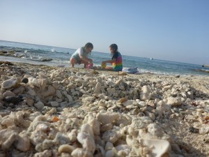 Cozumel Mexico