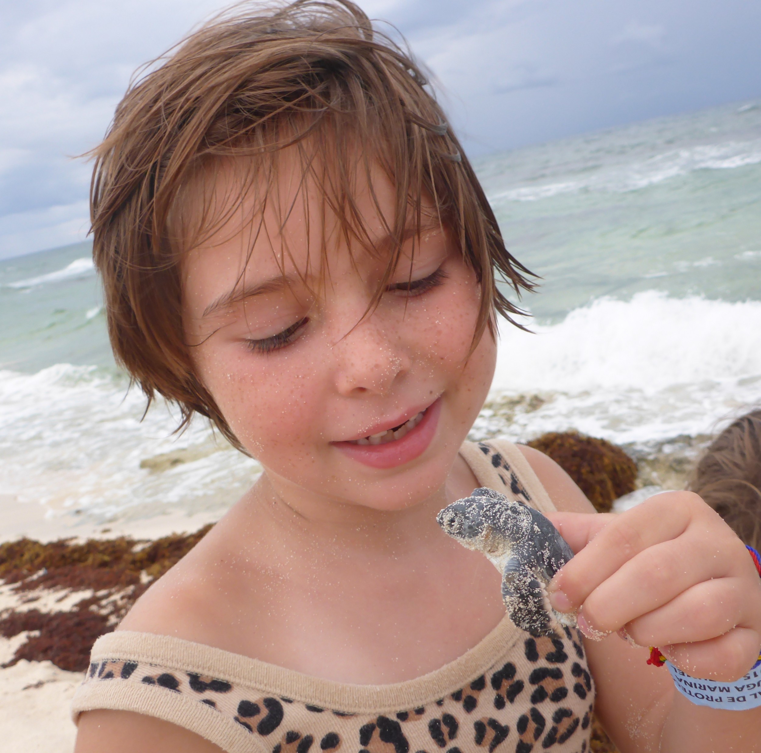 cozumel mexico