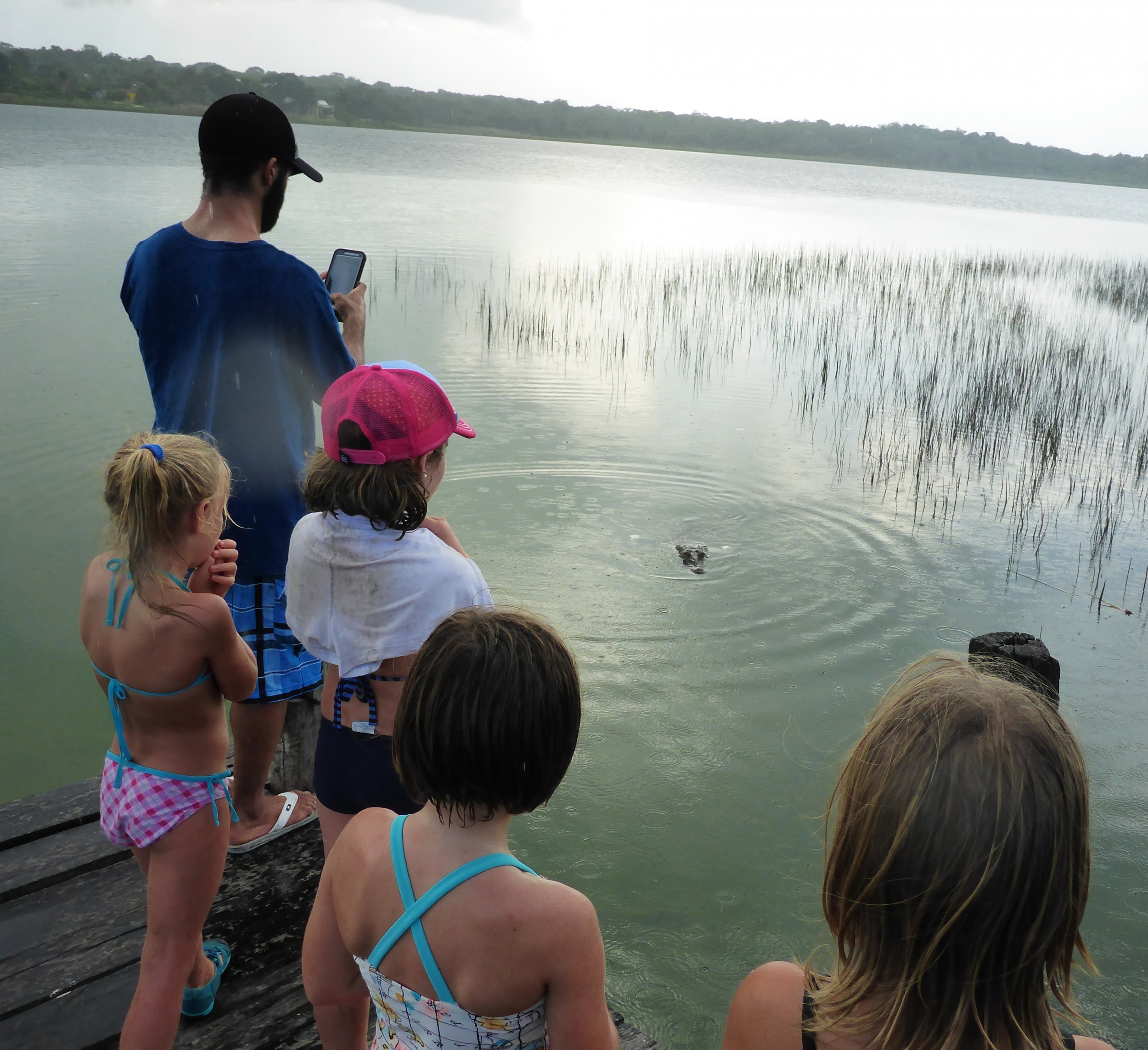 He stopped at looked at all the tasty morsels standing on the dock and my heart stopped. 