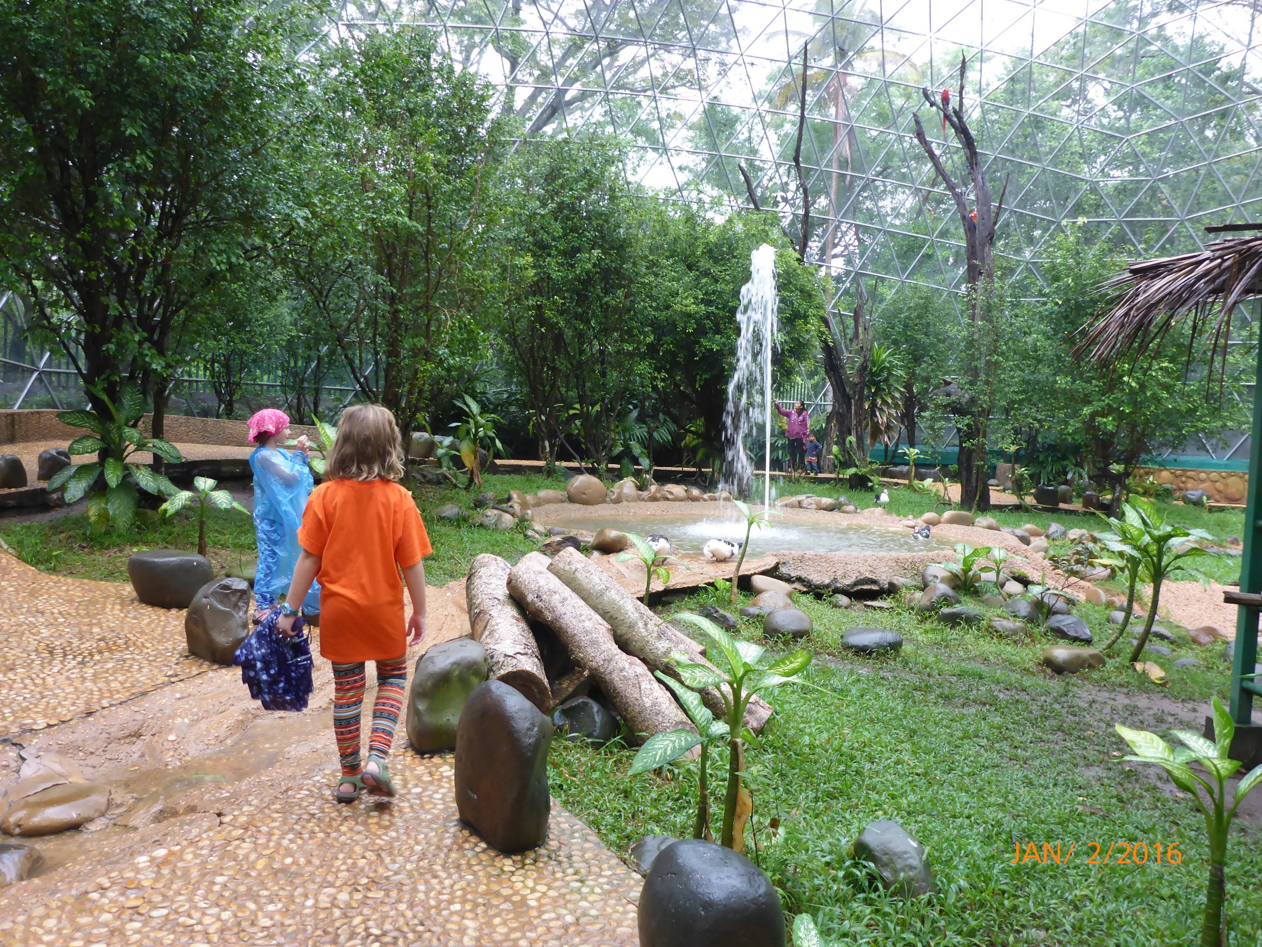 Inside the aviary where the birds had room to fly free. 