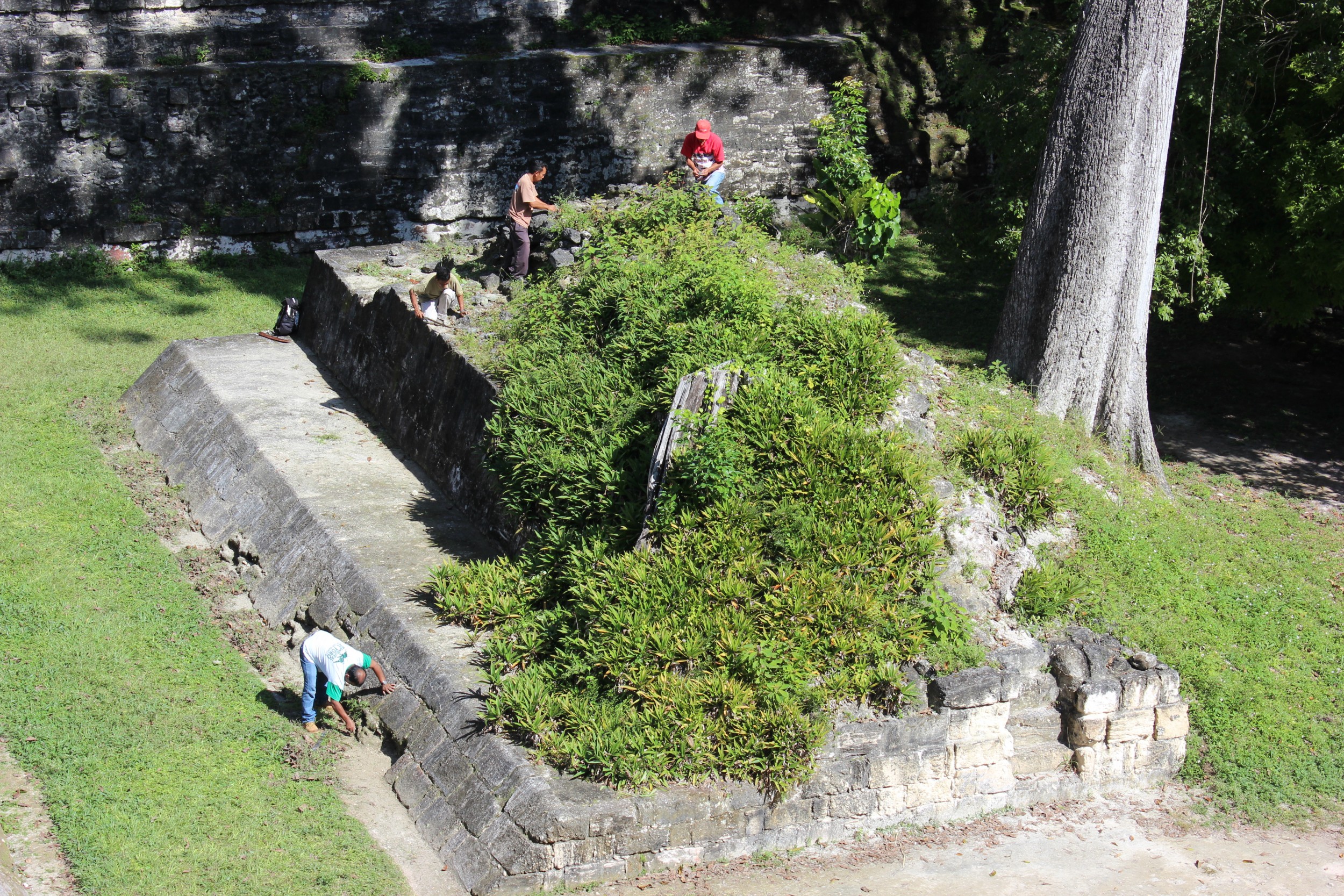 One of the magical parts of Tikal is that they are still working to uncover things.