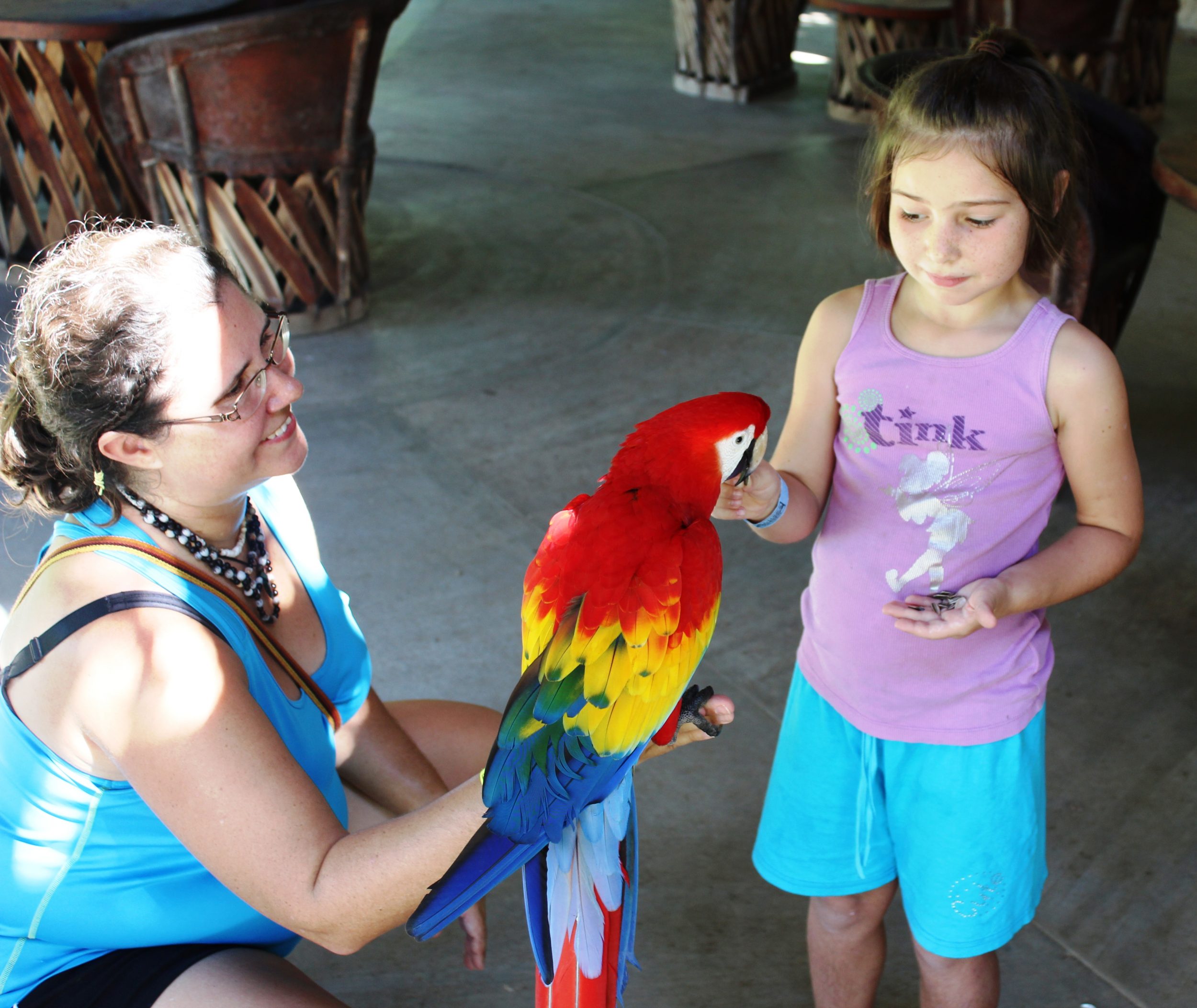 eco park Aluxes palenque