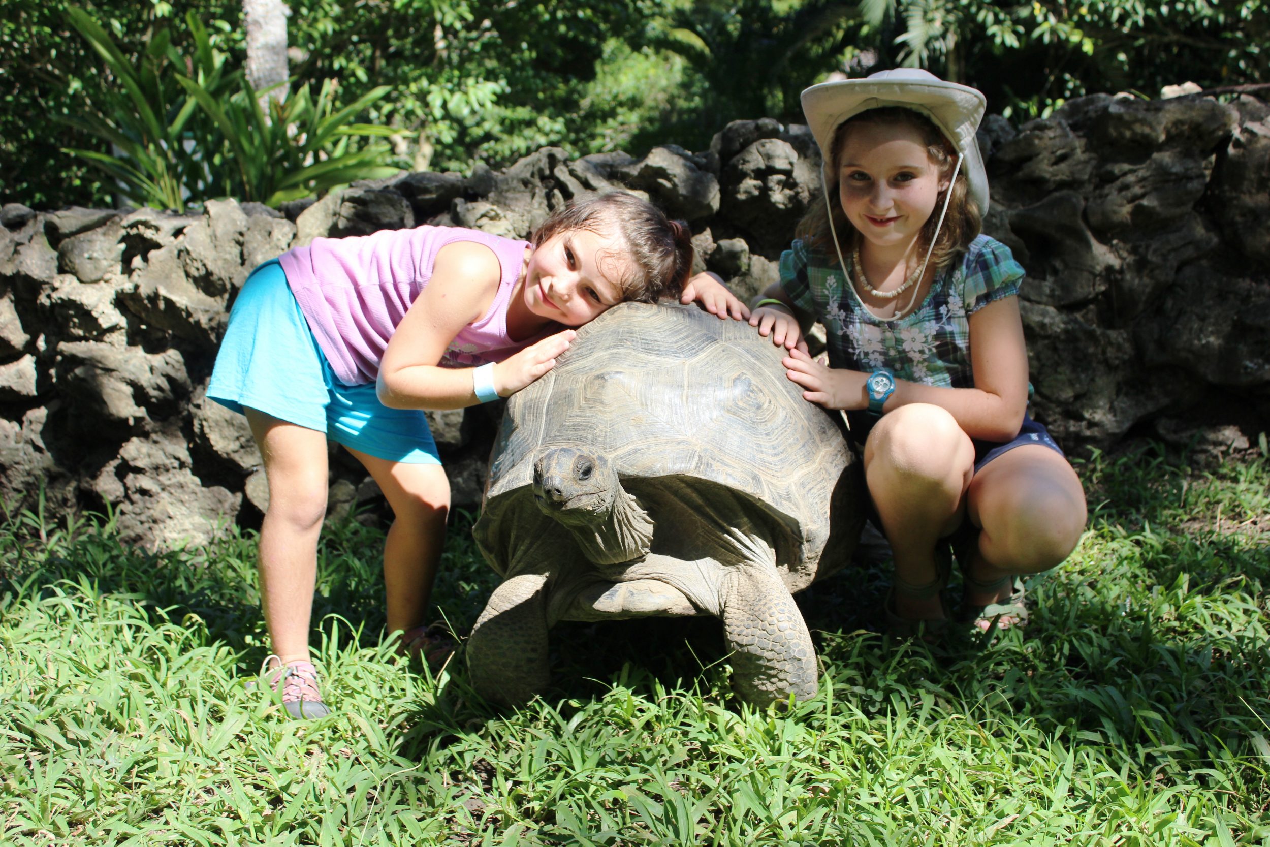 turtle eco park aluxes