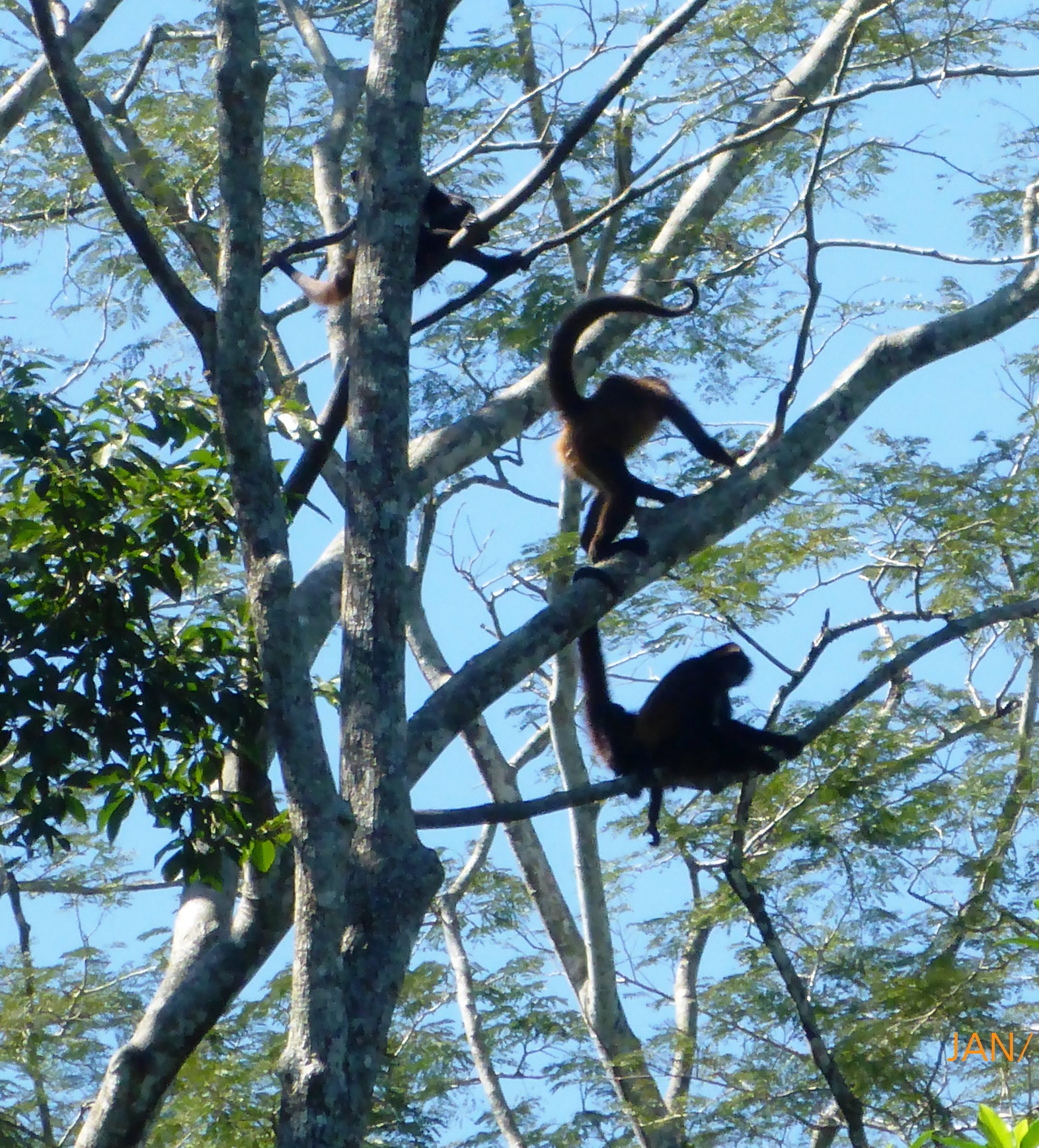 eco park aluxes palenque